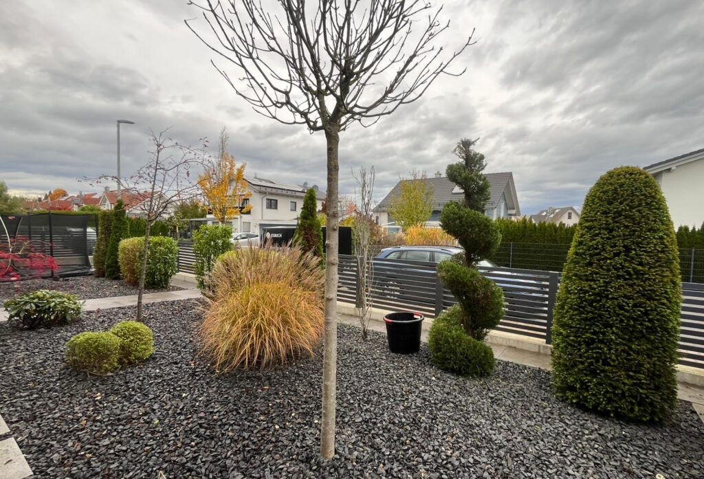 Mehrere Bäume, Sträucher und Pflanzen schön geschnitten