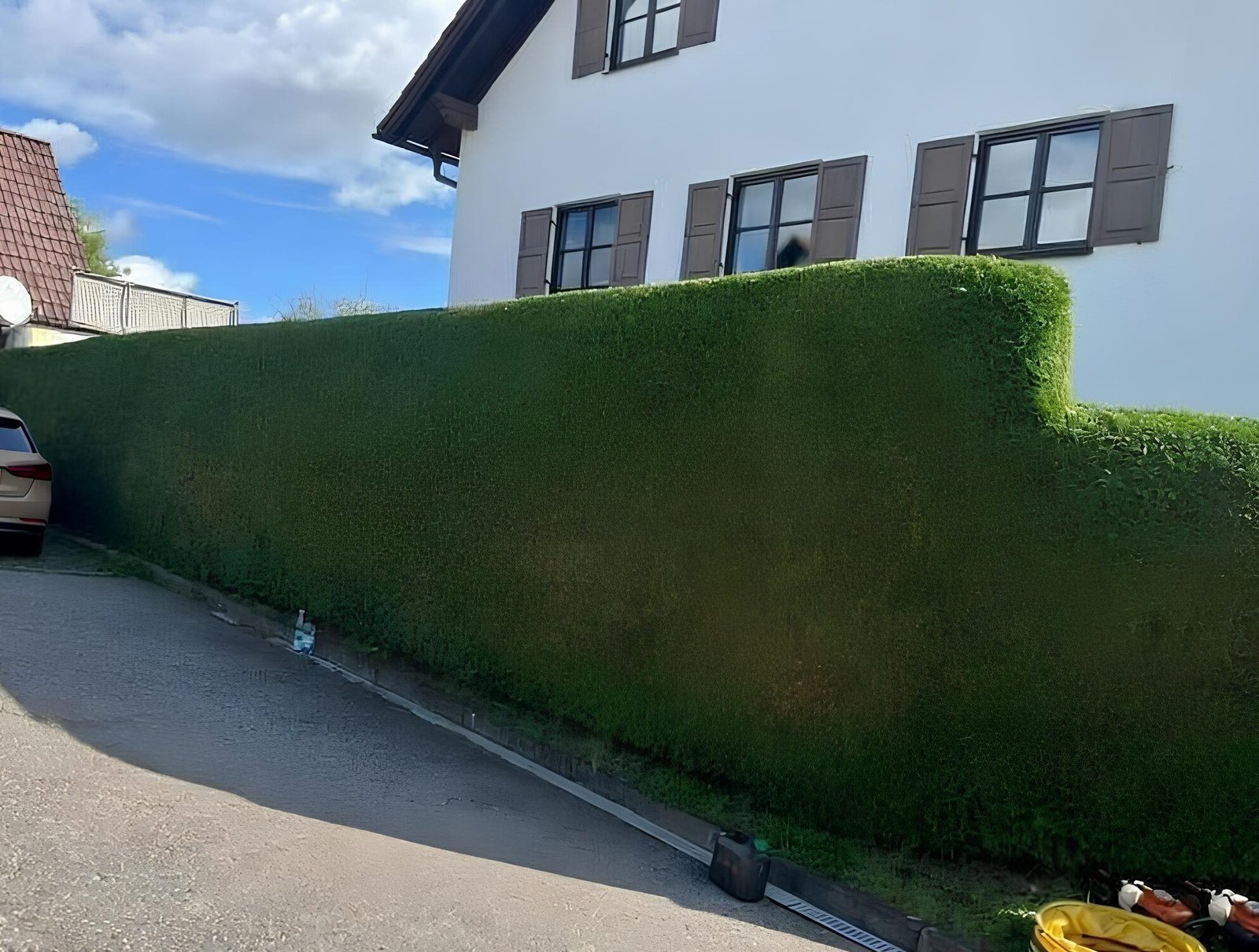 Hecke geschnitten mit Auto und Einfahrt